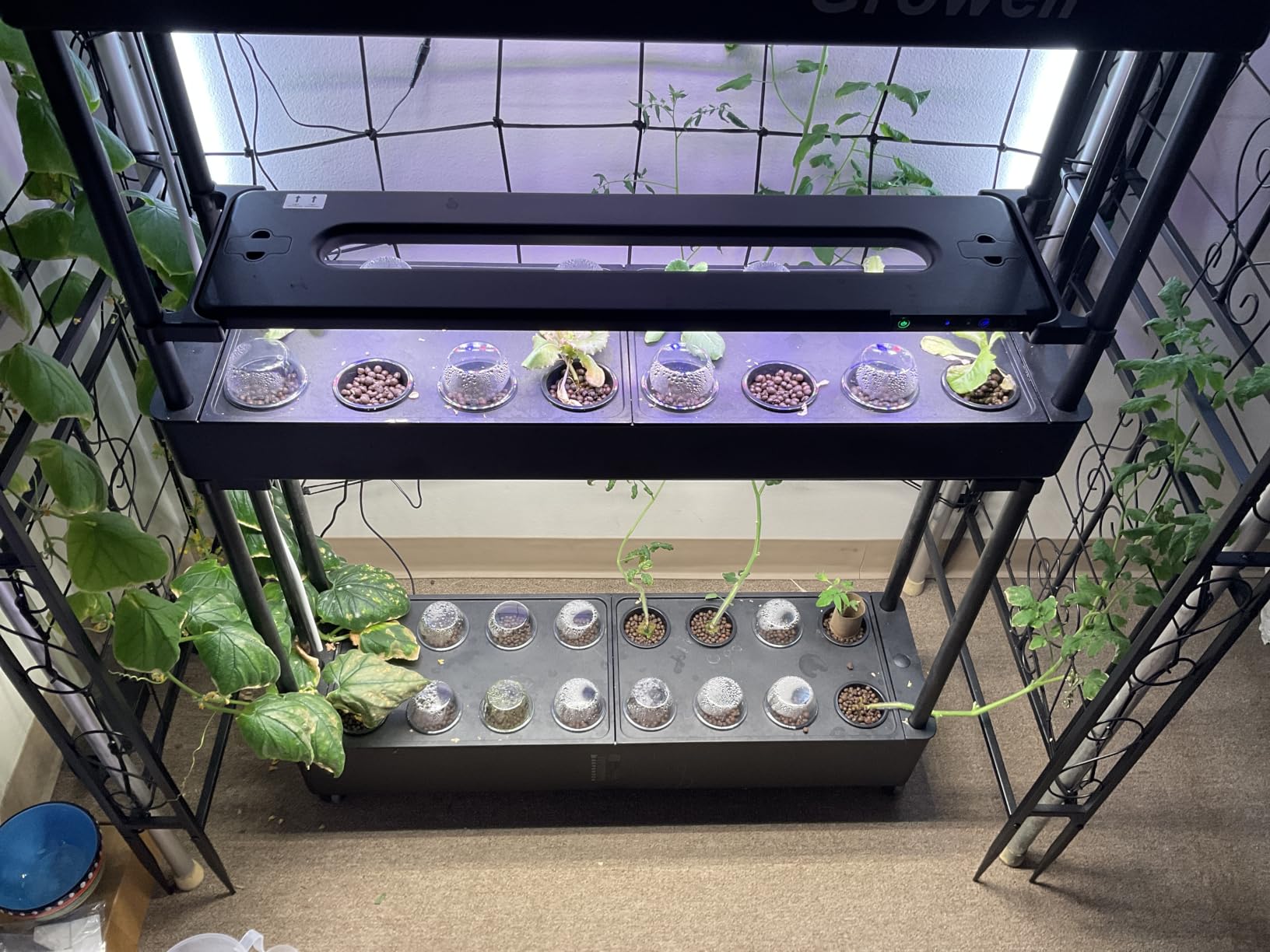 Growell Hydroponics Growing System Kit, 54 Pods Vertical Indoor Herb Garden with Smart LED Grow Light, Auto Circulating Water Pump Each Tier, 28L Hydroponic Gardening Systems for Ideal Gifts (Green) customer photo 2