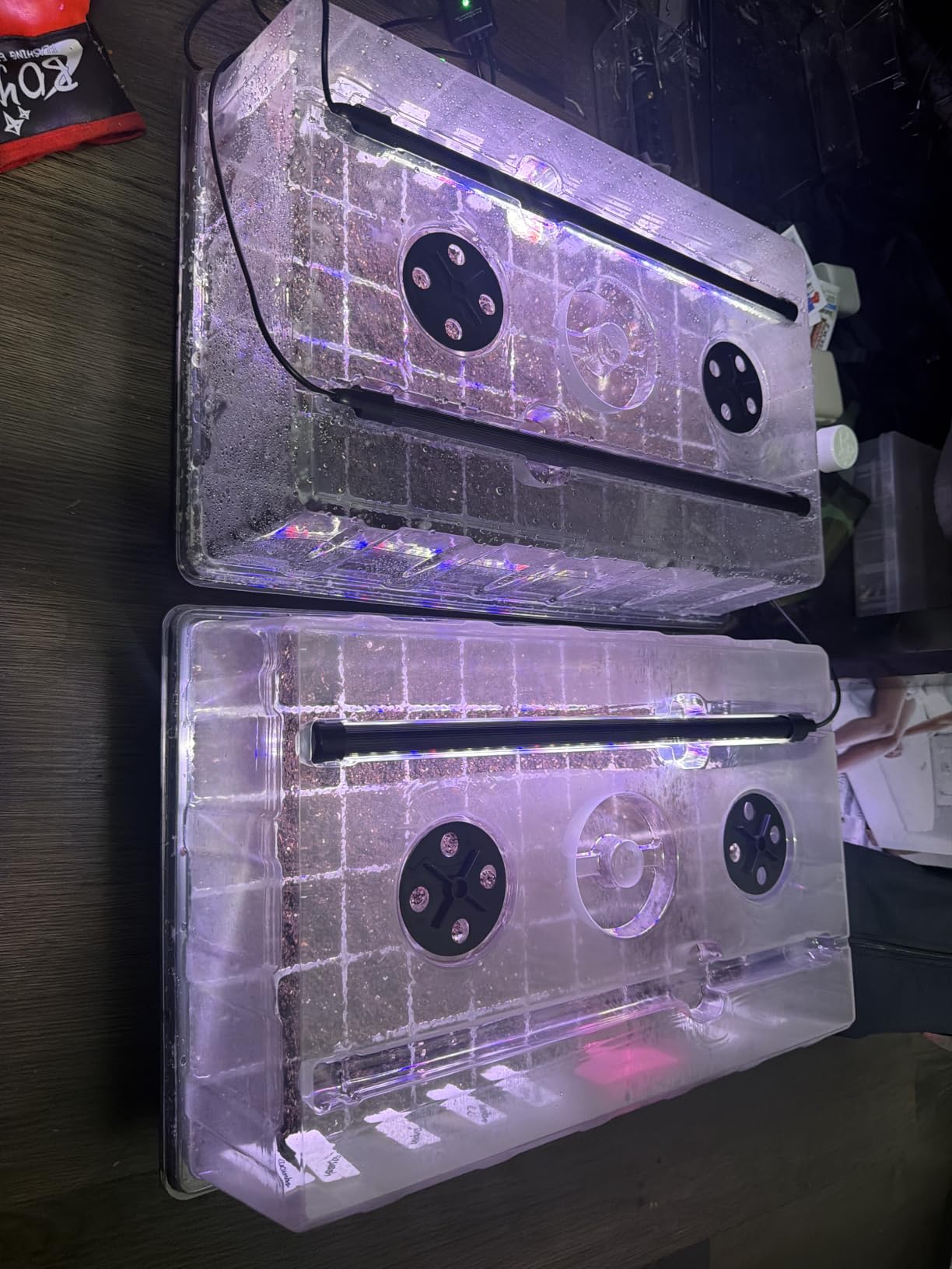 Mulctun 60-Cell Seed Starter Tray with Grow Light, Seedling Starter Trays with 4.08