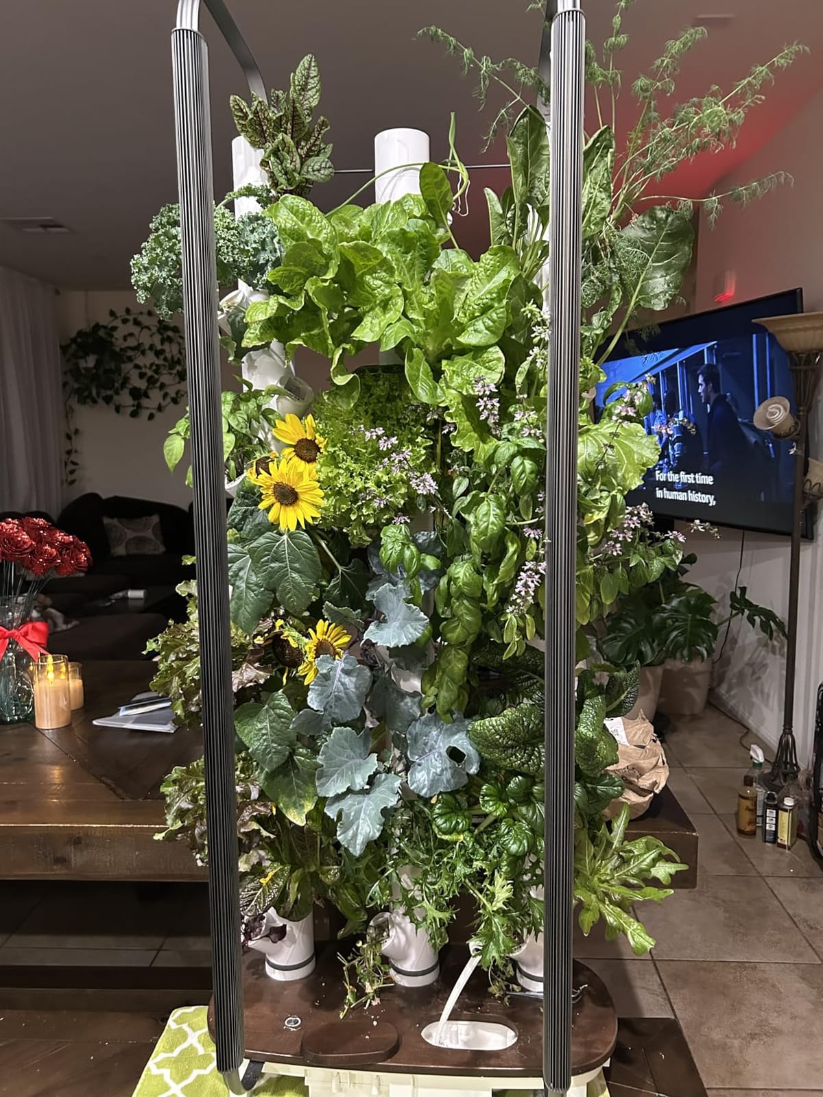 Gardyn Home 4 Vertical Hydroponics Growing System Kit - 30 Plants customer photo 1