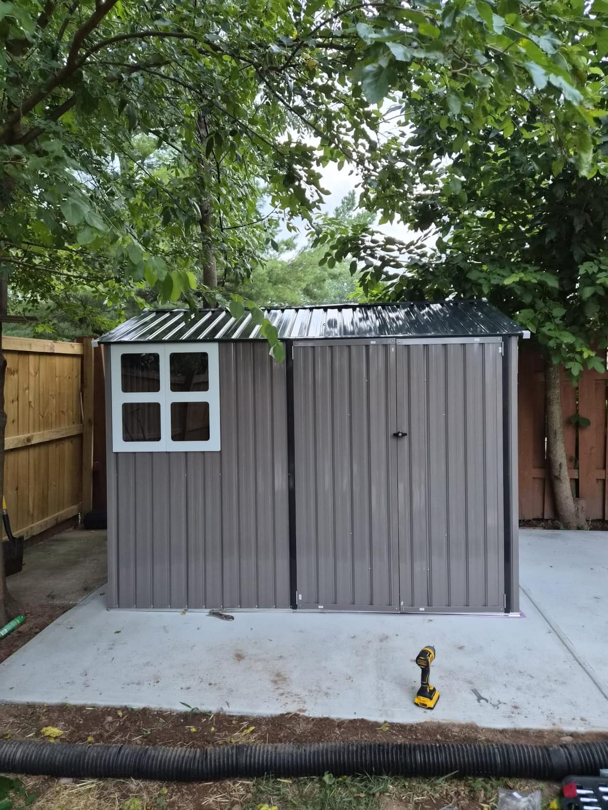 IRONCK 10x8.2FT Outdoor Storage Shed with Clear Window, Tool Shed, Brown customer photo 2