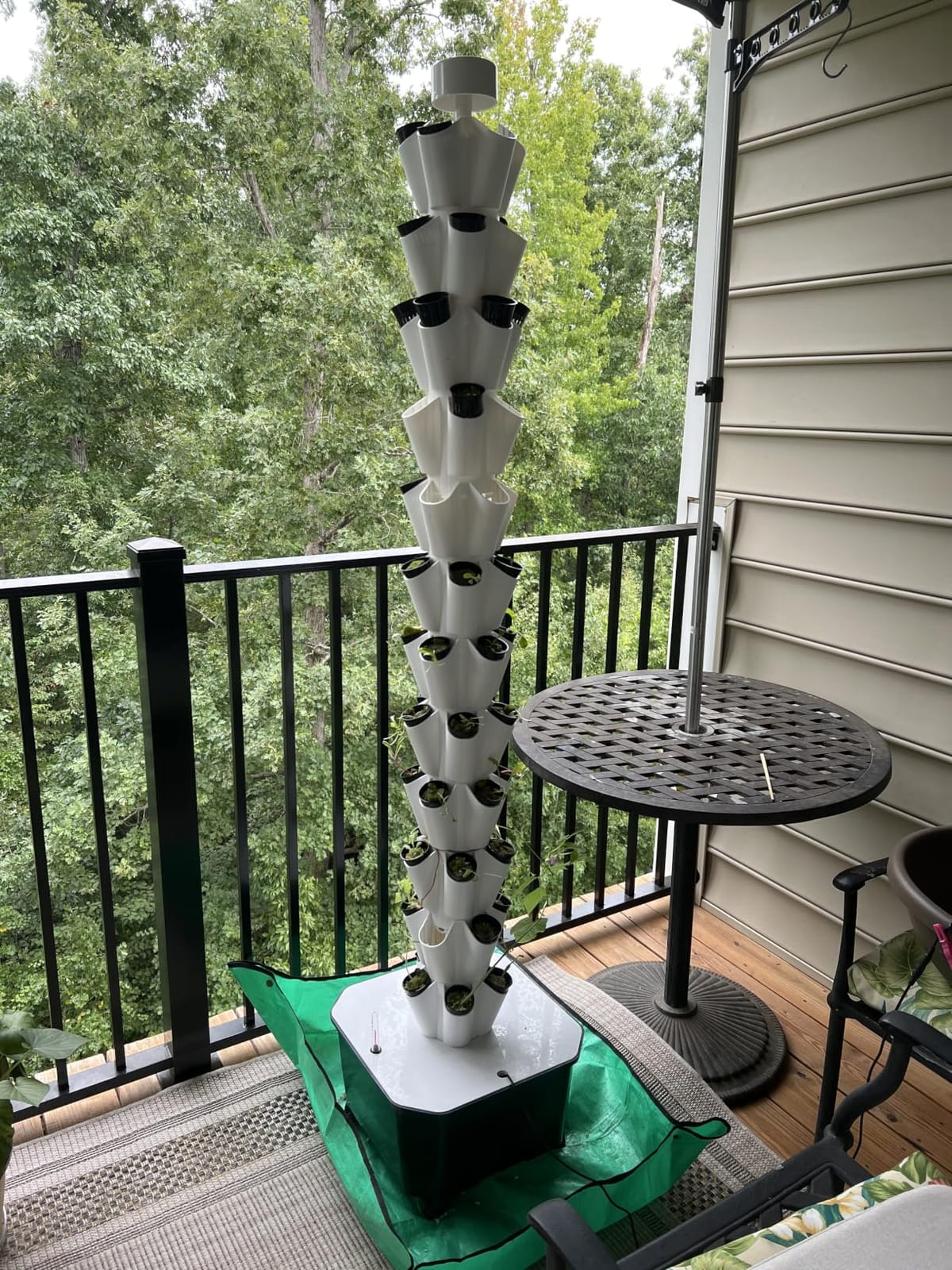 Hydroponic Tower 60 Pods 12 Tiers Hydroponics Growing System Vertical Garden System with 25L Water Tank and Pump for Indoor Outdoor Home, Balcony & Patio customer photo 1