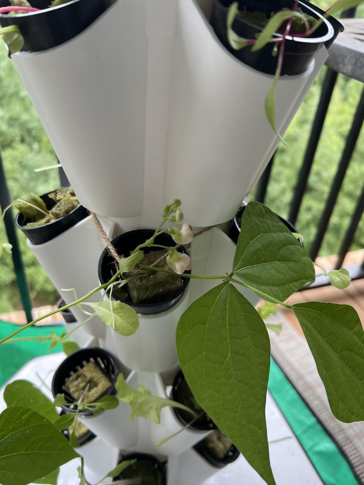 Hydroponic Tower 60 Pods 12 Tiers Hydroponics Growing System Vertical Garden System with 25L Water Tank and Pump for Indoor Outdoor Home, Balcony & Patio customer photo 2