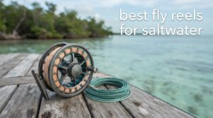 best fly reels for saltwater