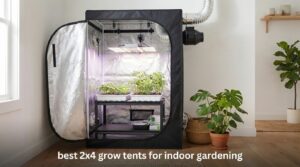 best 2x4 grow tents for indoor gardening