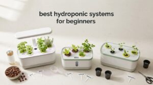 best hydroponic systems for beginners