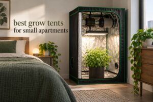 best grow tents for small apartments