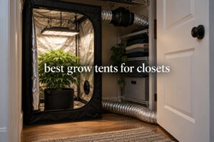 best grow tents for closets
