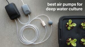 best air pumps for deep water culture